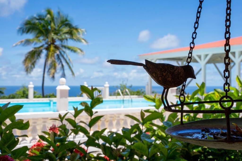Domaine Des Tourterelles Villa Capesterre Buitenkant foto