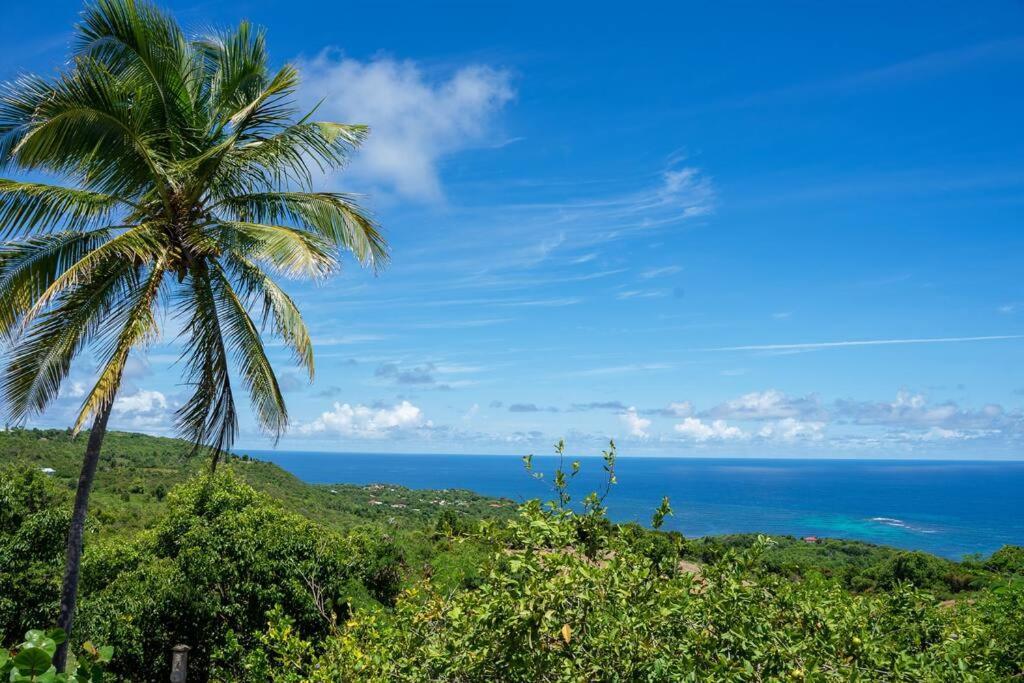 Domaine Des Tourterelles Villa Capesterre Buitenkant foto